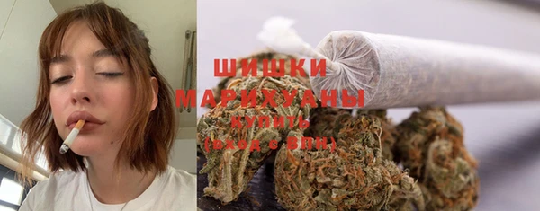 бошки Мегион
