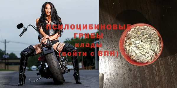 бошки Мегион